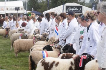 Moreton In Marsh Show 2021-Rare and Minority Sheep Inter-Breed Championship Sponsors